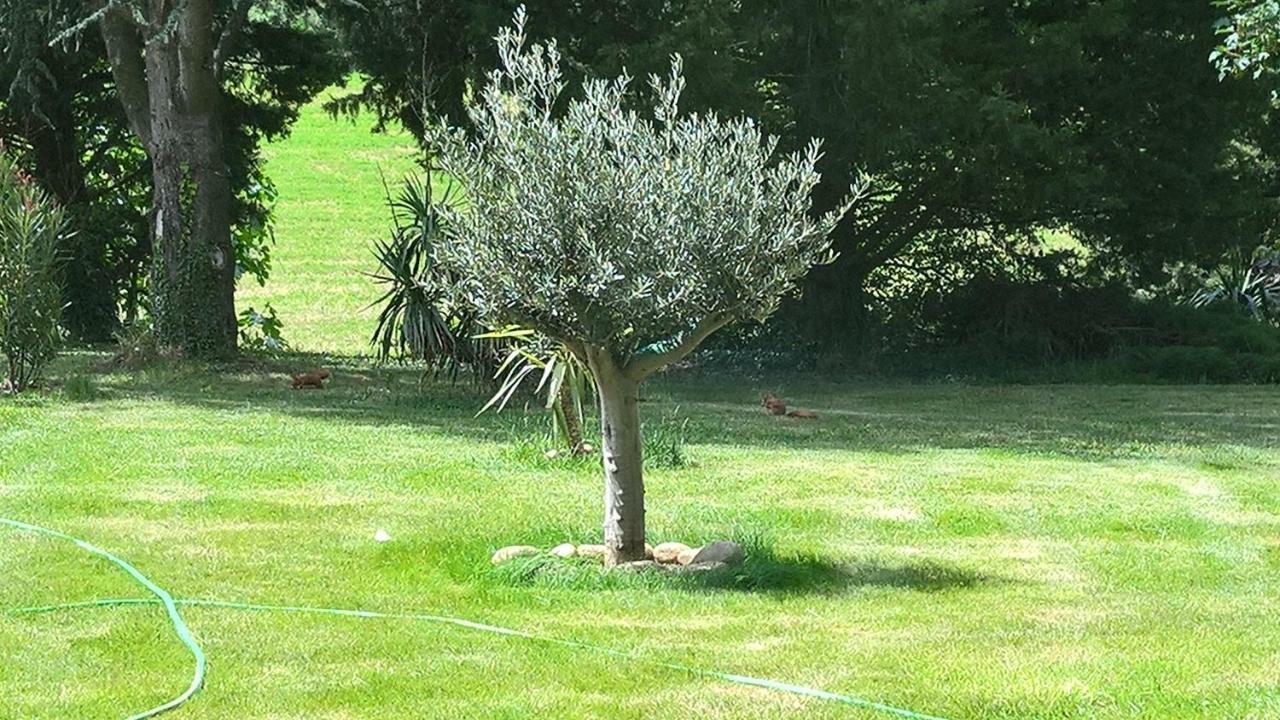 Beauvallon  Chambres D'Hotes L'Echappee Belle מראה חיצוני תמונה